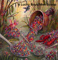 5 Lucky Boy/Men Scoop + 4 Bonus Item